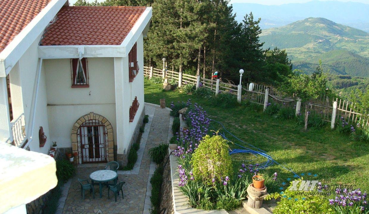 DSC00375