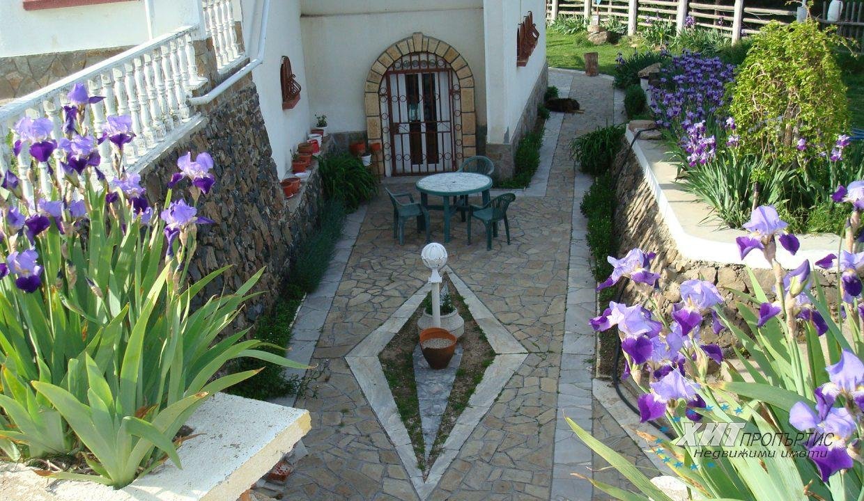 DSC00469