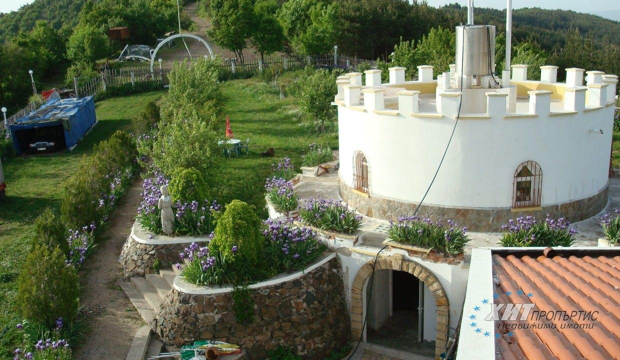 DSC00503