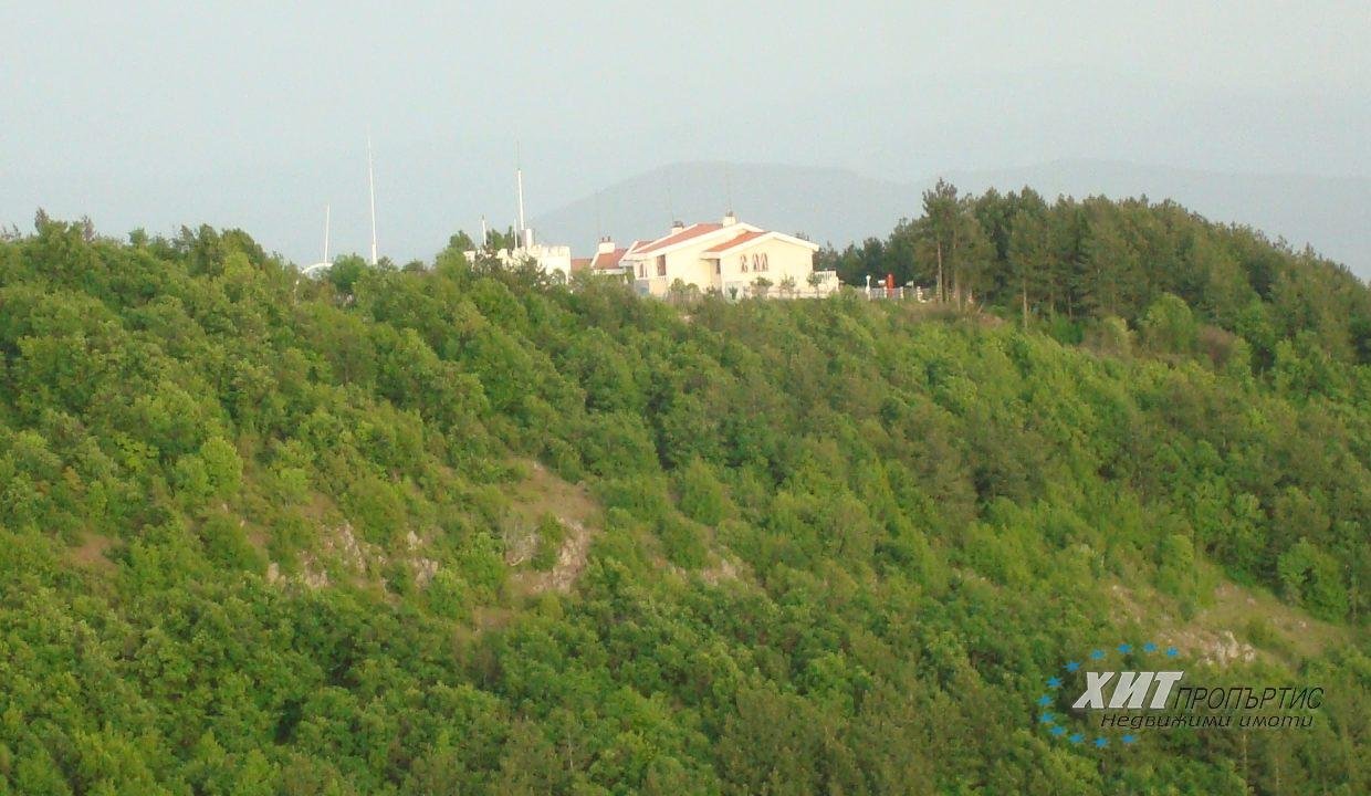 DSC00545