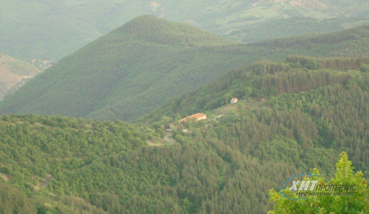 DSC00547