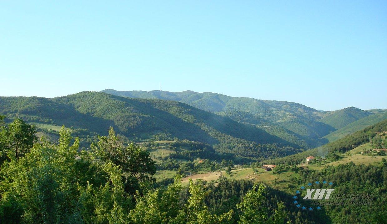 DSC00636