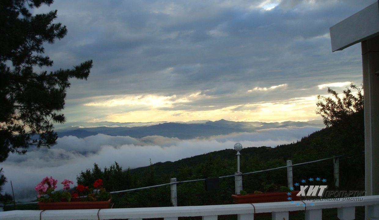 DSC00867