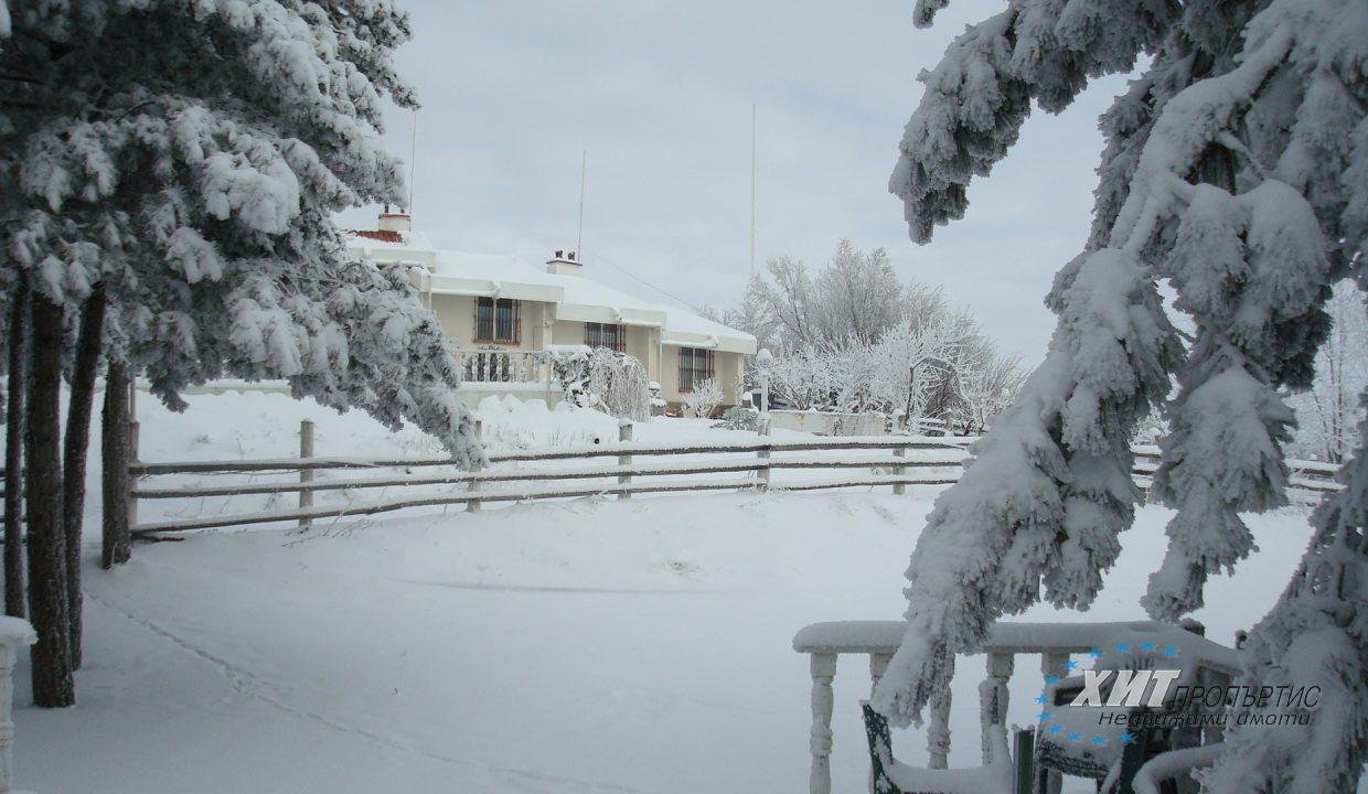 DSC01308